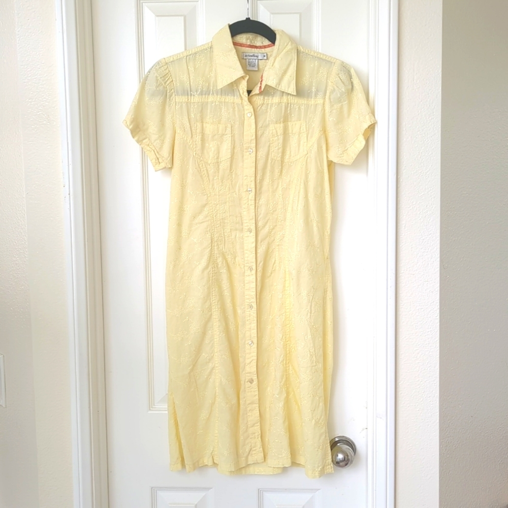 Supper cute fitted shirt dress